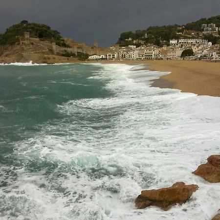 Daire Sunny With Pool Tossa de Mar